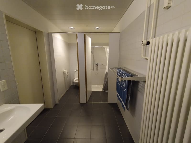 Modern bathroom with a sink, toilet, and shower area. Features a radiator with a towel and a small shelf for toiletries.