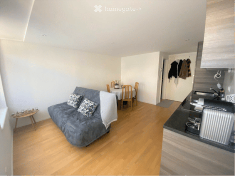 A modern, open-plan living and dining area with a grey sofa, coffee table, dining table with chairs, and a small kitchen area with a counter and sink.