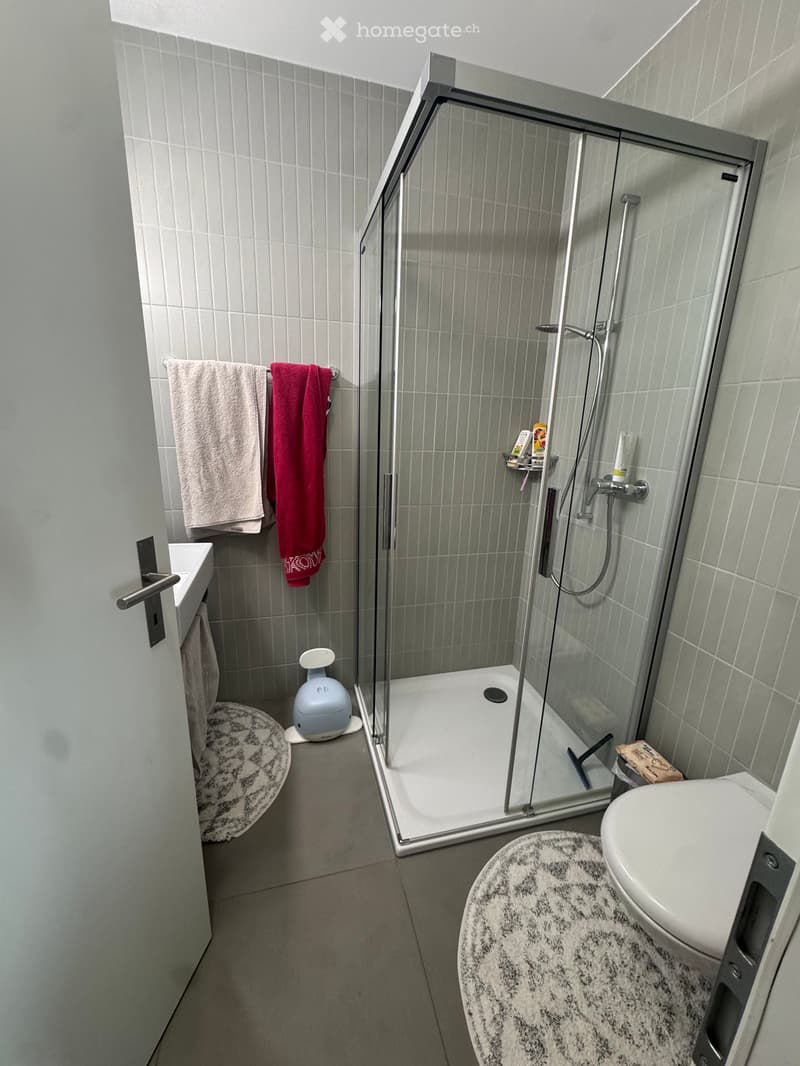 Modern bathroom with a glass-enclosed shower, toilet, sink, and towels on a rack. Includes a small rug and a pet litter box.