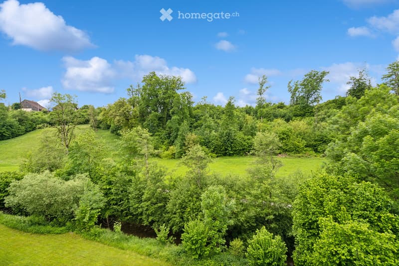 A lush, green garden area with dense trees, shrubs, and a small stream running through it. The area is surrounded by grassy fields and a few scattered houses in the background.