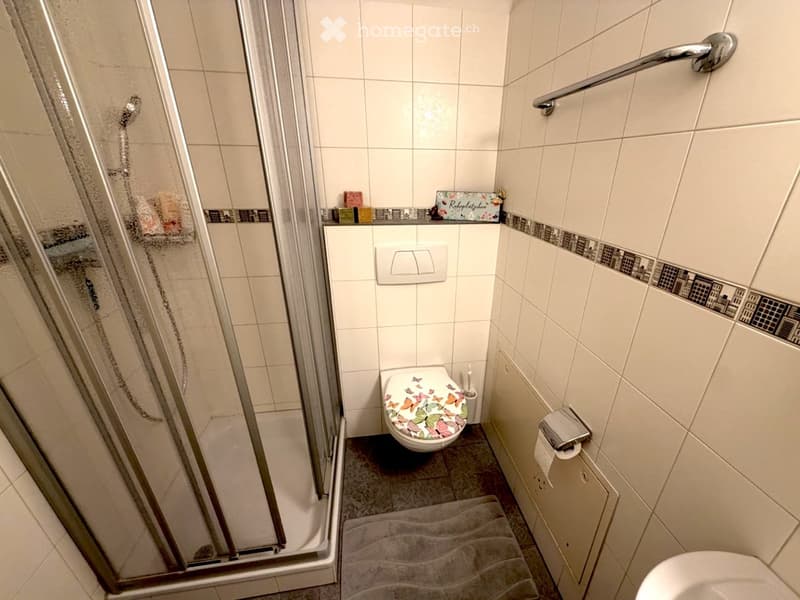 A small bathroom with a toilet, shower, towel, and toiletries. The toilet has a butterfly-patterned seat cover, and the shower has a glass door with a handle. There is a towel on the floor and a toilet paper holder on the wall.