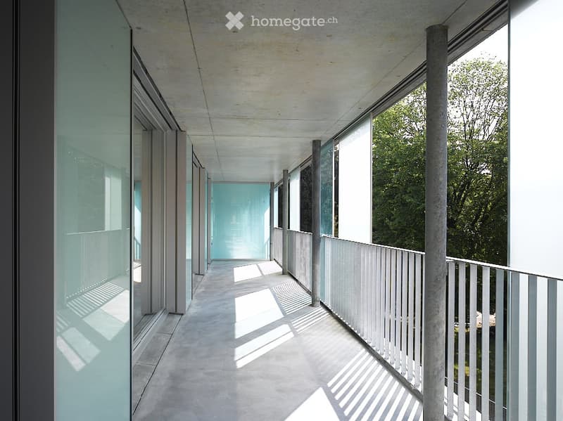Modern, minimalist corridor with large glass windows and a view of greenery, concrete floor, white railings, and clean lines.
