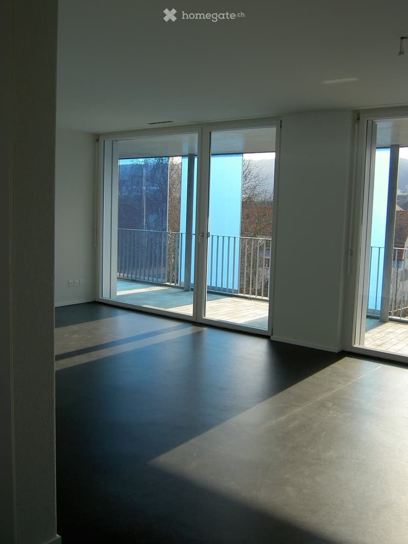 Empty room with large sliding glass doors leading to a balcony, dark flooring, and white walls.