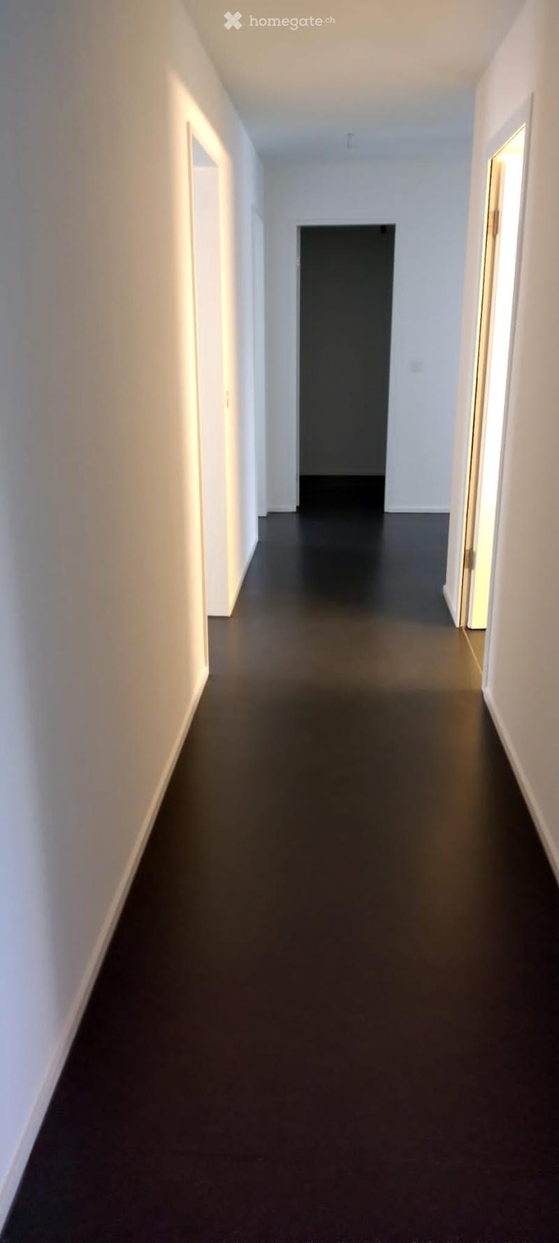 Empty hallway with dark flooring and white walls, featuring a closed door at the end and soft lighting from side walls.