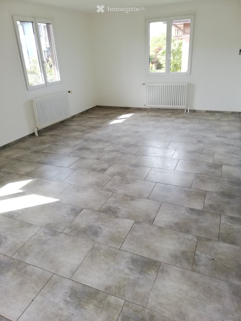 Heimeliges Chalet in Murgenthal mit grossem Terrassengarten zu verkaufen (7)