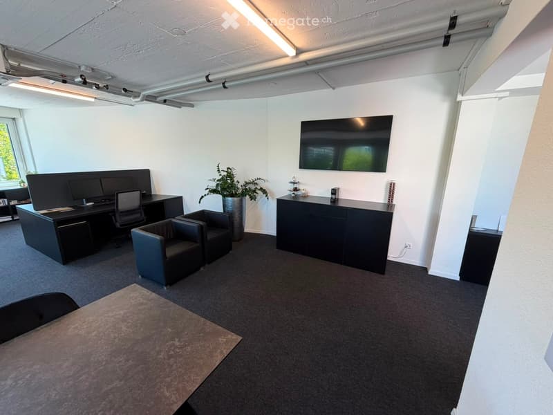 Modern office space with a desk, chairs, a large screen, a potted plant, and a small table with items on it.