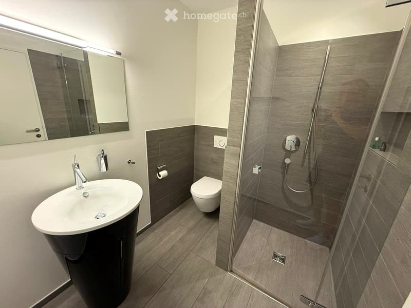 Modern bathroom with a white sink, chrome faucet, mirror, toilet, and a glass-enclosed shower with a handheld showerhead.