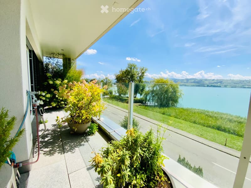 Balcony with a view of a lake and surrounding greenery, featuring potted plants and a glass railing.