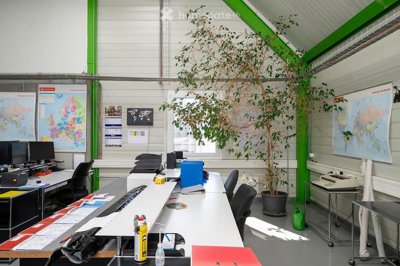 Office space with desks, chairs, computers, printers, potted plants, and maps on the walls.
