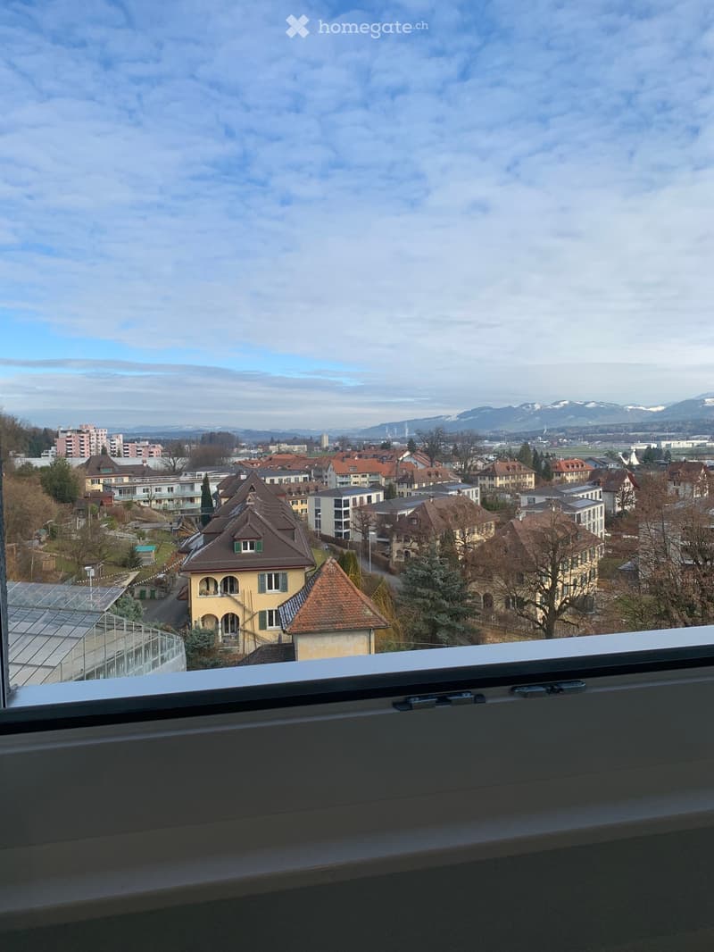 View from a balcony showing a town with houses, trees, and distant mountains under a partly cloudy sky.