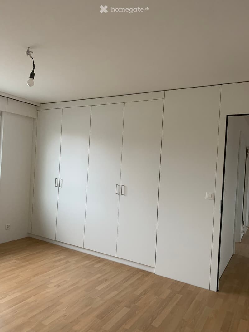 Empty room with light wooden flooring and white built-in wardrobes, featuring a single ceiling light fixture.