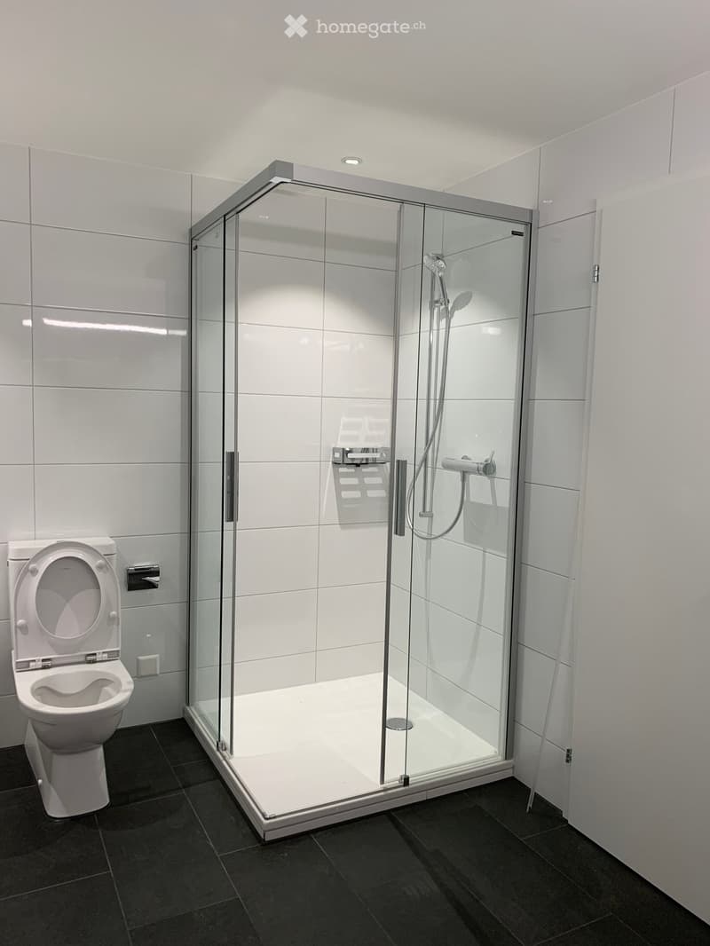 Modern bathroom with white tiled walls, black tiled floor, glass-enclosed shower stall, and a toilet. Features a sleek, contemporary design with a built-in showerhead and controls.