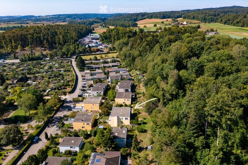 Aerial view of a residential area with multiple houses, surrounded by trees and greenery, with a road running through the neighborhood.