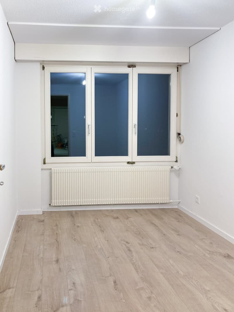 Empty room with light wooden flooring, white walls, a radiator, and a large window with white frame and frosted glass panels.