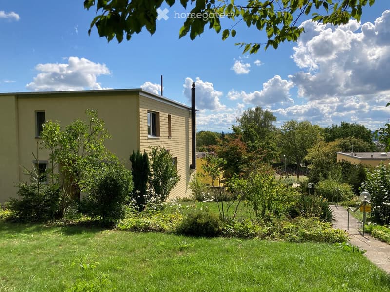 A well-maintained garden area with green grass, various shrubs, and trees, featuring a small building with a chimney and windows in the background.
