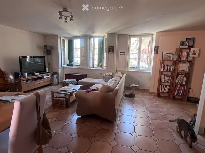 Living room with hexagonal tile flooring, large windows, a beige sofa, coffee table, bookshelf, television, and a small dog.