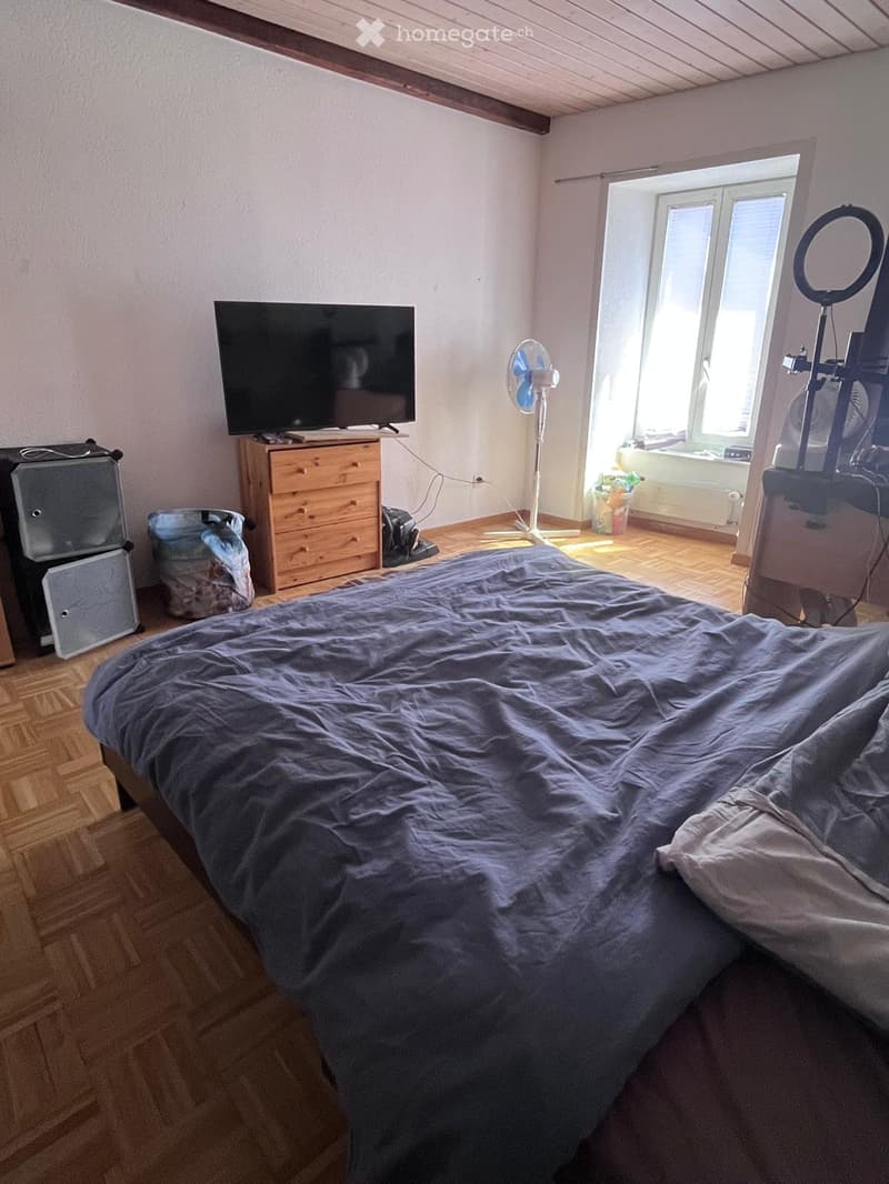 Cozy bedroom with wooden flooring, a large bed with blue bedding, a television on a wooden stand, a fan, and a small refrigerator. A mirror is positioned near the window, and natural light streams in.