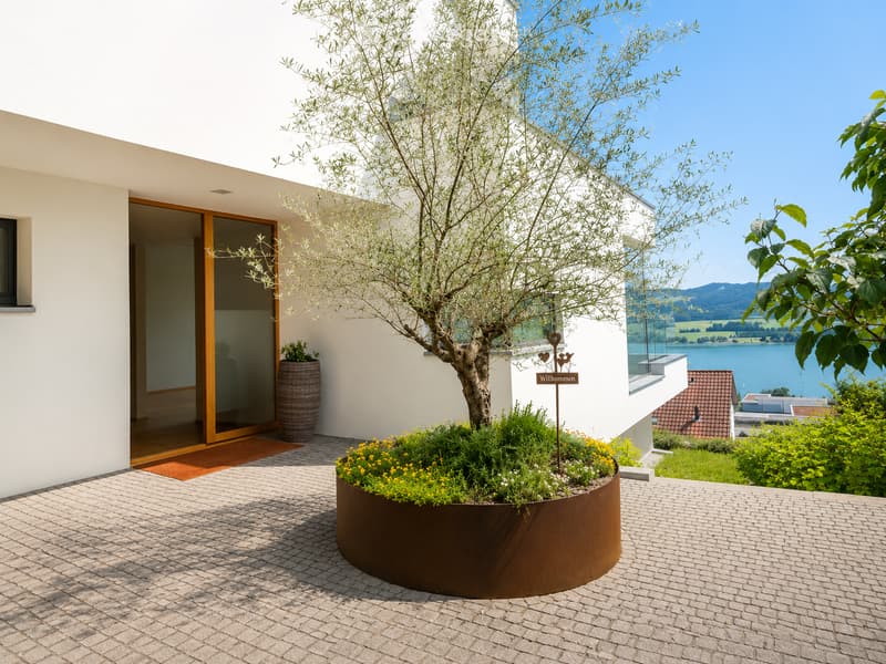 Modern outdoor area with a brick-paved patio, a large tree in a metal planter, and a scenic lake view in the background.