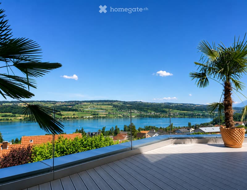 A modern balcony with wooden decking, glass railing, potted palm tree, and scenic view of a lake and countryside.