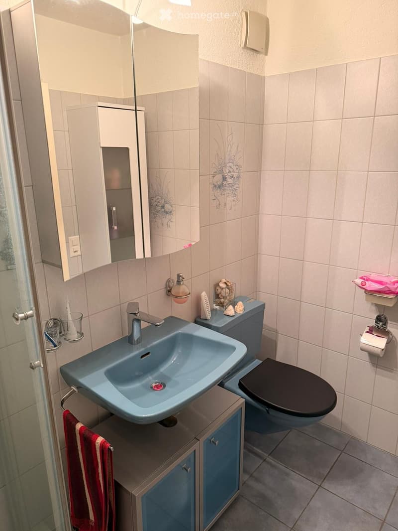 Modern bathroom with a blue sink, toilet, mirror, and cabinet. Features a towel, soap dispenser, and decorative items on the sink counter.