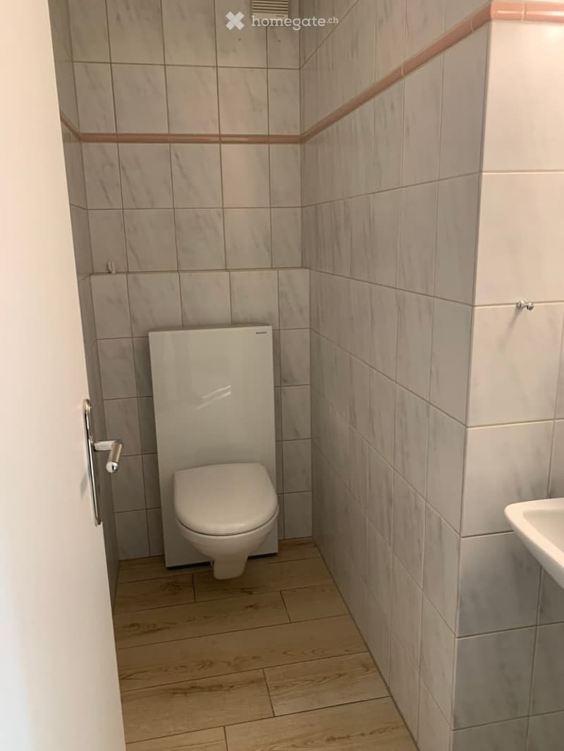 Modern bathroom with light-colored tiles, a toilet, and a sink. The walls are tiled with a light beige color and have a decorative pink trim. The floor is made of light wood.