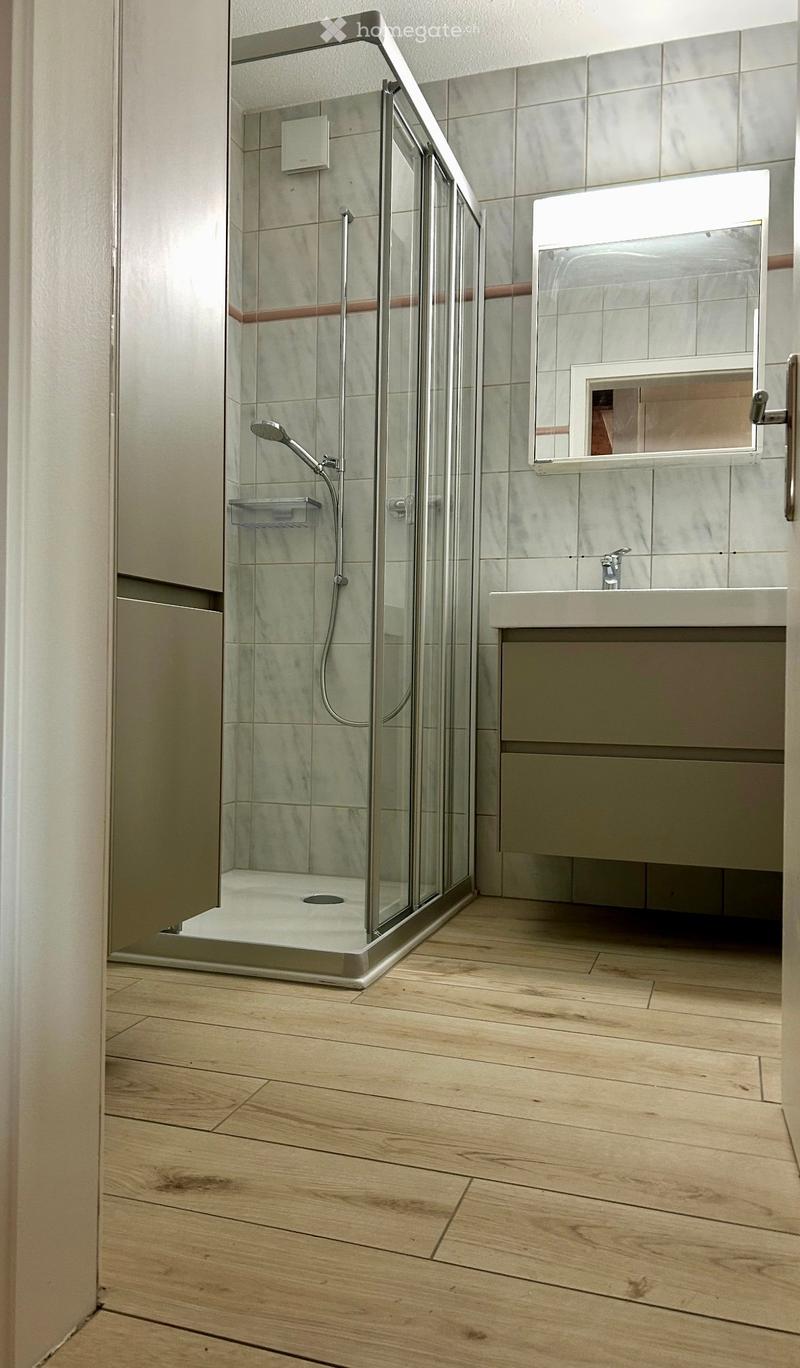 Modern bathroom with wooden flooring, a glass-enclosed shower, a sink with a mirror, and a sleek faucet.
