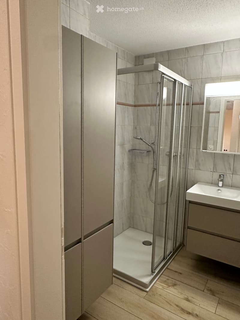 Modern bathroom with a glass-enclosed shower, a white sink, and a mirror above it. The walls are tiled, and the floor is wooden.
