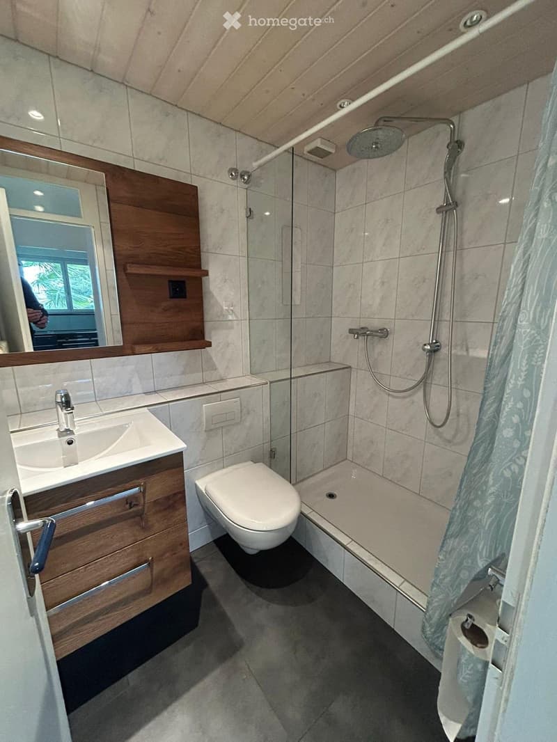Modern bathroom with a wooden vanity, sink, toilet, glass-enclosed shower, and a large mirror. The shower features a handheld sprayer and a fixed overhead showerhead.