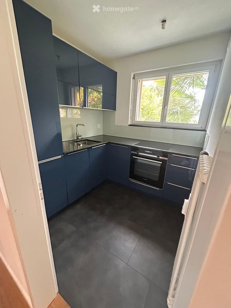 Modern kitchen with dark blue cabinets, stainless steel sink, and built-in oven. Large windows provide natural light.