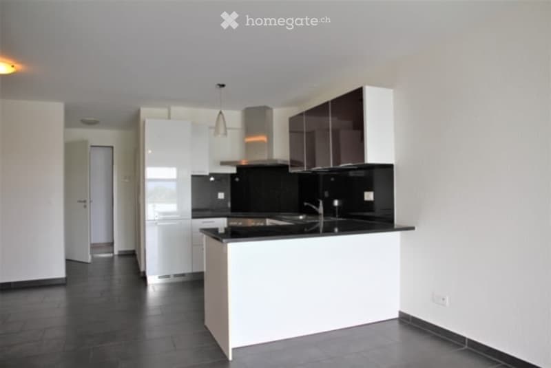 Modern kitchen with white cabinets, black countertops, stainless steel sink, and range hood. Features include pendant lighting and a dark tiled floor.