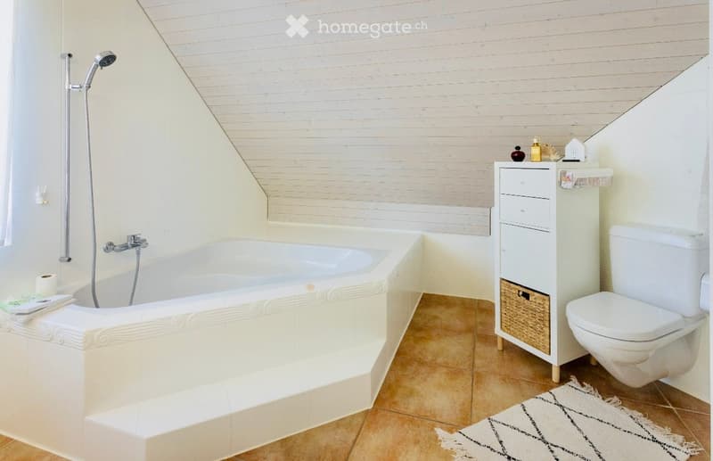 large corner bathtub with steps, corner shower, white toilet, storage cabinet, carpet