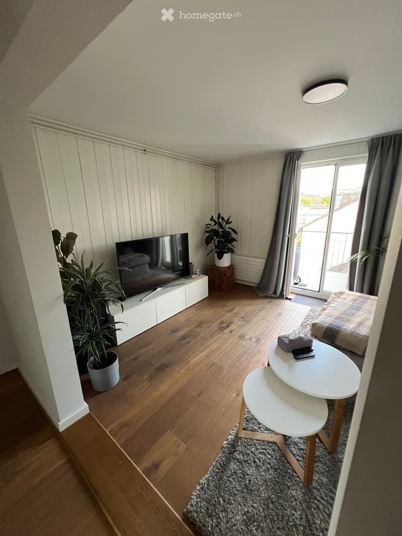 A modern living room with wooden flooring, a television on a white stand, a small round table with a tissue box and phone, a potted plant, and a grey curtain near a sliding glass door leading to a balcony.
