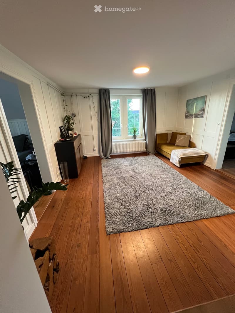 Cozy living room with wooden flooring, a large grey rug, a mustard-colored sofa, a black cabinet with picture frames, and a potted plant near the window.