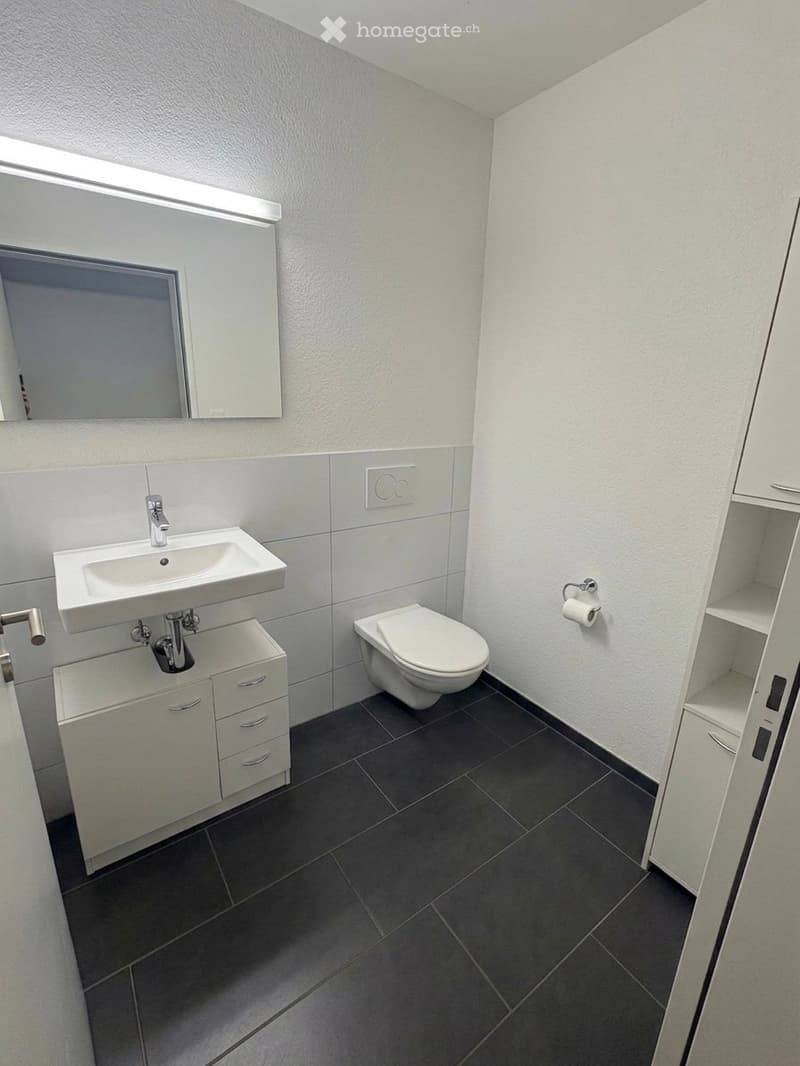 Modern bathroom with white walls, dark tiled floor, white sink with cabinet, toilet, and mirror above the sink.