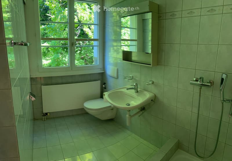 Modern bathroom with white tiles, a toilet, a sink with a mirror cabinet, and a radiator. The room has large windows with a view of greenery outside.