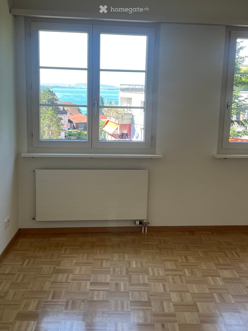 Empty room with wooden herringbone flooring, white walls, large windows with a scenic view, and a radiator below the windows.