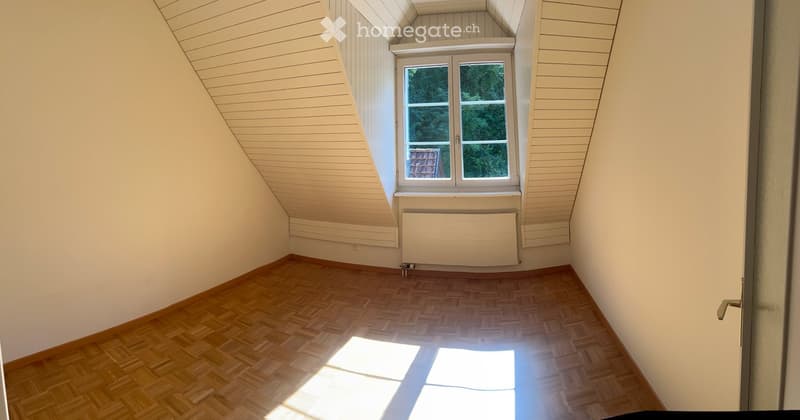 Empty attic room with wooden flooring, white walls, and a single window with a radiator below it.