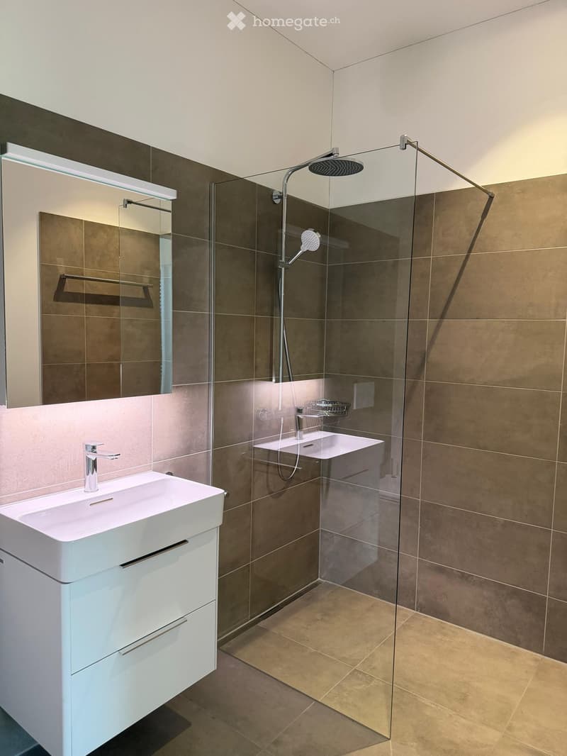 Modern bathroom with two sinks, a large mirror, and a glass-enclosed shower with a handheld showerhead.