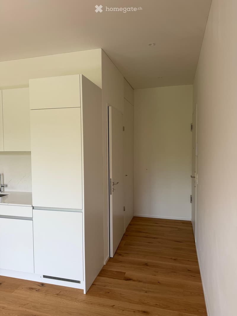 Empty room with light wooden flooring, white walls, and built-in white cabinetry. No furniture or personal items are present.