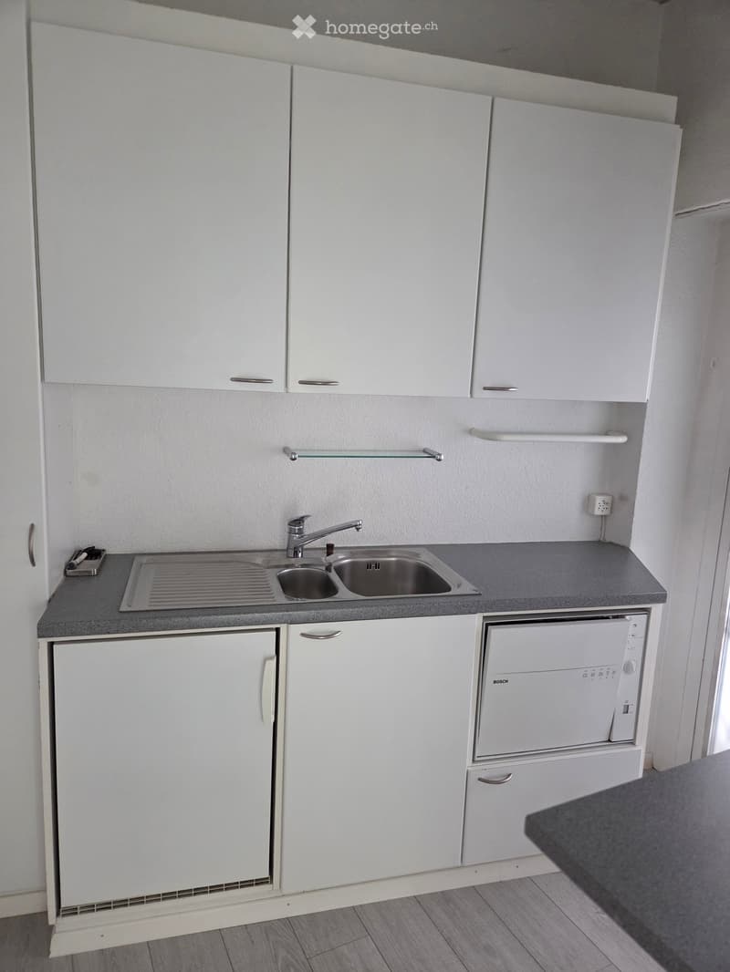 modern kitchen with white cabinets, stainless steel sink, dishwasher, washing machine, gray countertop