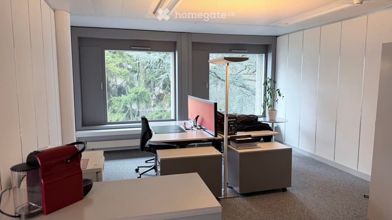 Modern office space with desks, chairs, a coffee machine, a potted plant, and large windows offering a view of greenery.