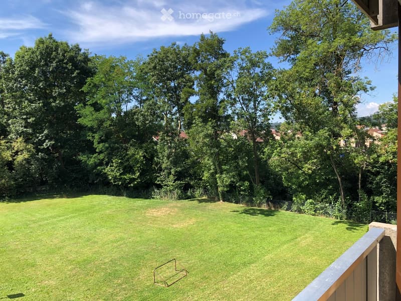 A well-maintained lawn surrounded by tall trees, with a wooden fence and a small metal object visible on the grass.