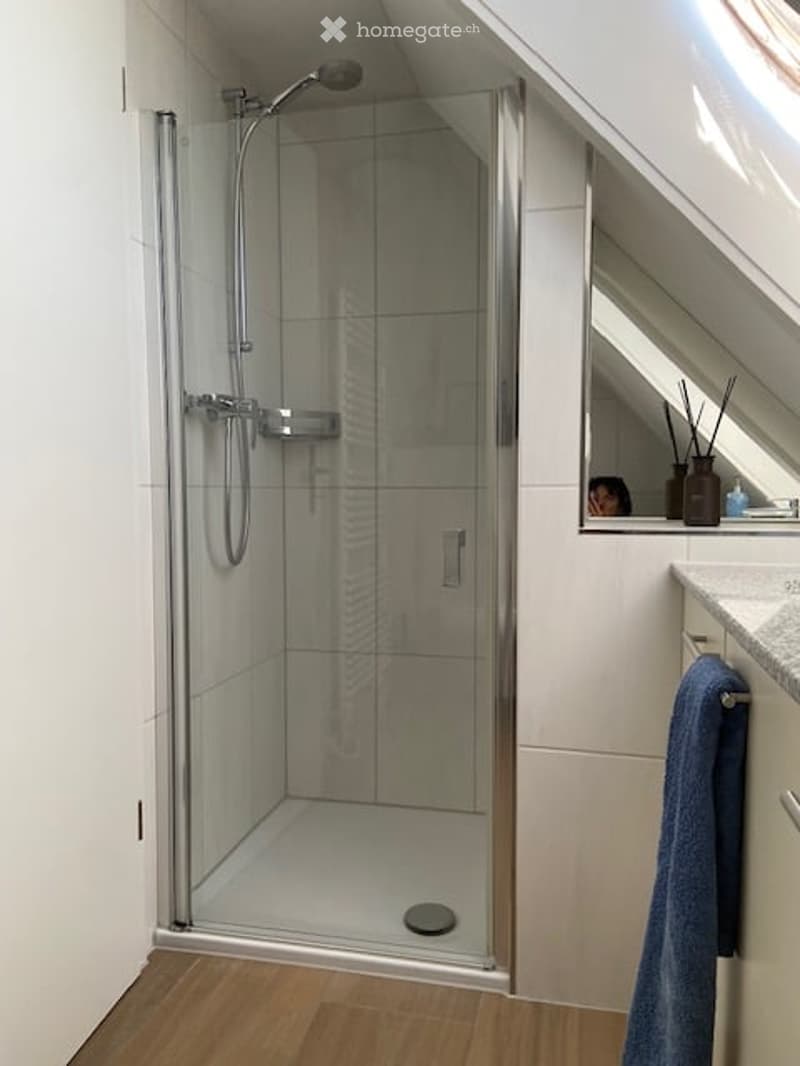 Modern bathroom with a glass-enclosed shower stall, sleek chrome fixtures, a large mirror, and a neatly hung blue towel on a cabinet.