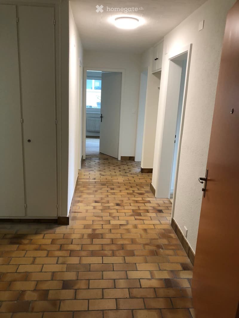 A long, narrow hallway with a brick tile floor, white walls, and several doors leading to other rooms. The ceiling features a central round light fixture.