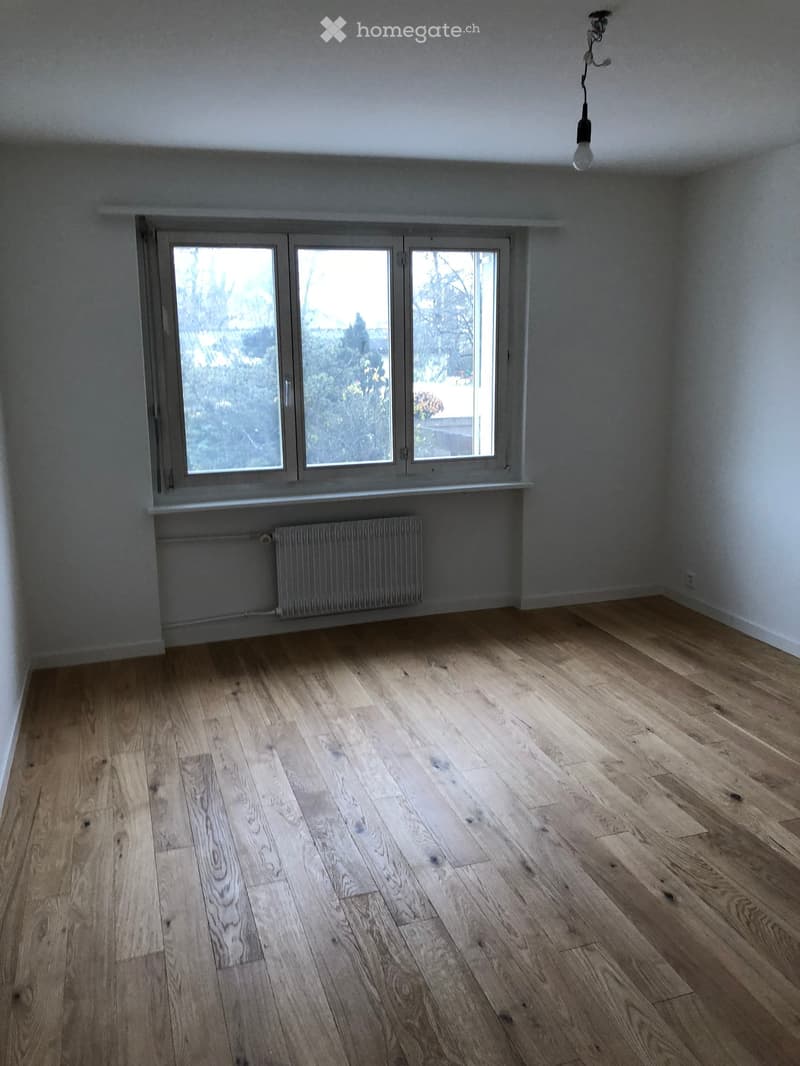 Empty room with wooden flooring, large window, radiator, and a single light fixture on the ceiling.