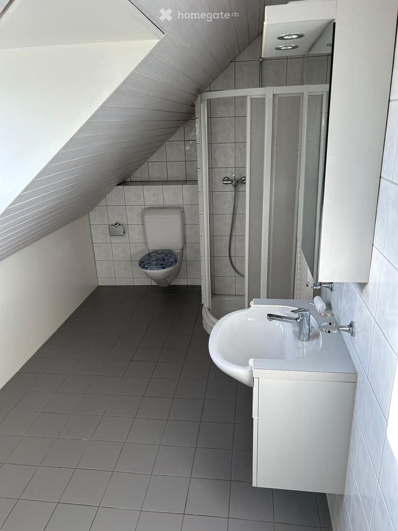 Modern bathroom with grey tiles, a toilet, a sink with a faucet, and a shower area with a glass enclosure.