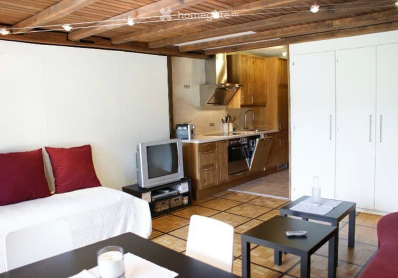 A modern, open-plan living and dining area with a sofa, television, dining table, chairs, and a fully equipped kitchen featuring wooden cabinets, a sink, oven, and faucet.
