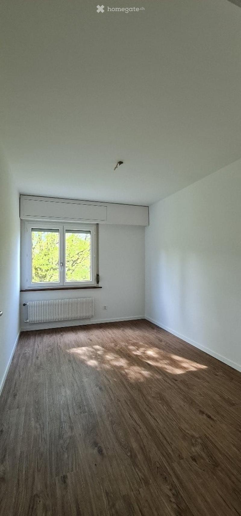 Empty room with wooden flooring, white walls, and a window with white frames. There is a radiator below the window and a light fixture on the ceiling.