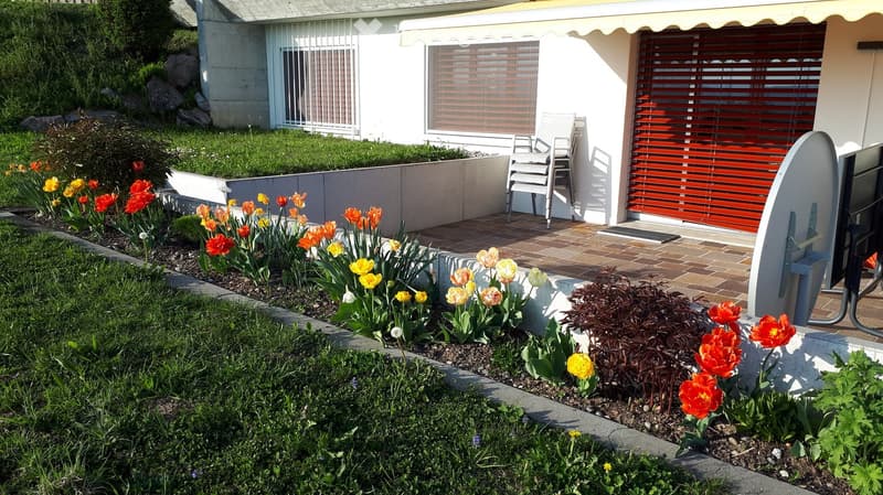 Well-maintained garden with colorful tulips, shrubs, and a patio area with a white folding chair and a covered entrance to the house.