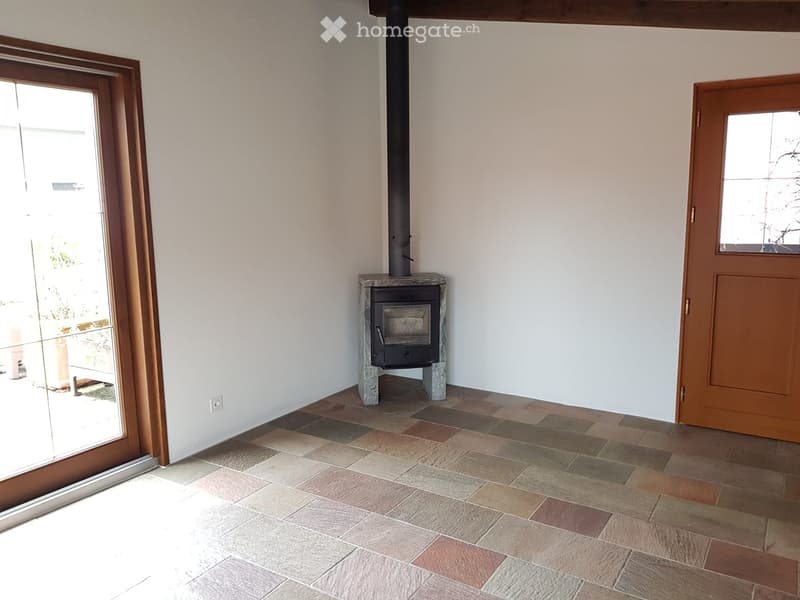 tiled floor, white walls, large fireplace, glass door, brown door